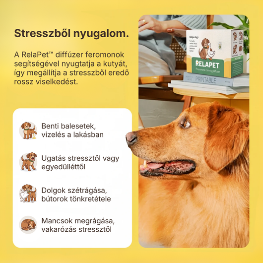 Nyugtató párologtató kutyáknak